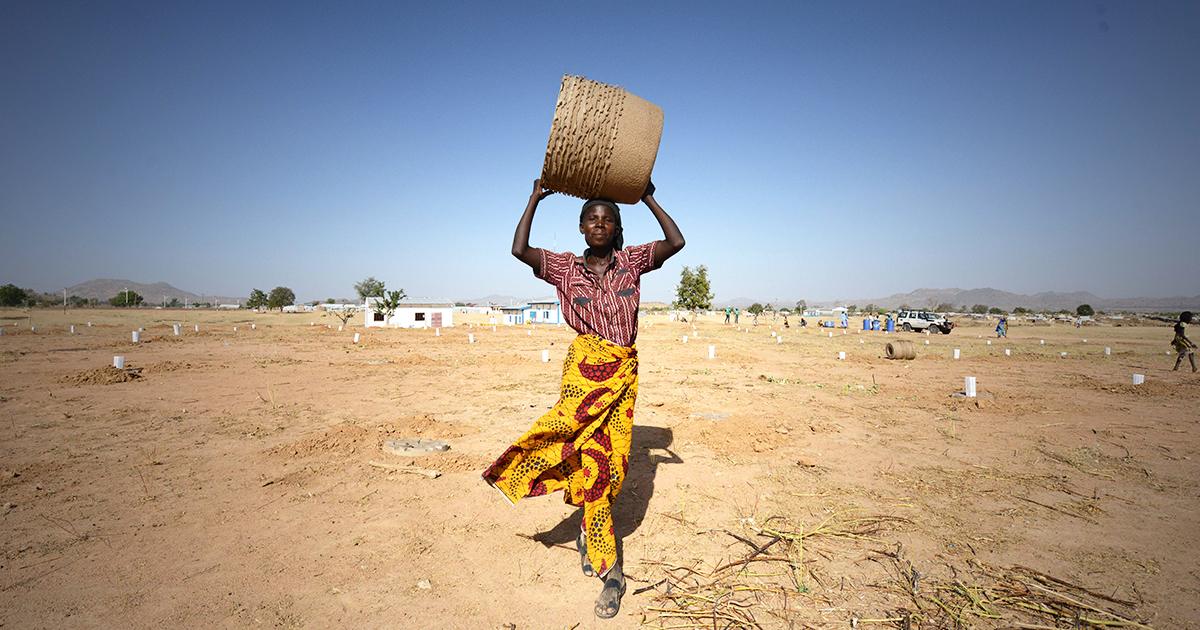 The Make Minawao Green Again project aims to fight against the deforestation of the region, caused by the global warming and human activities, especially as the arrival of the refugees put a high pressure on the environment. @UNHCR/ Xavier Bourgois