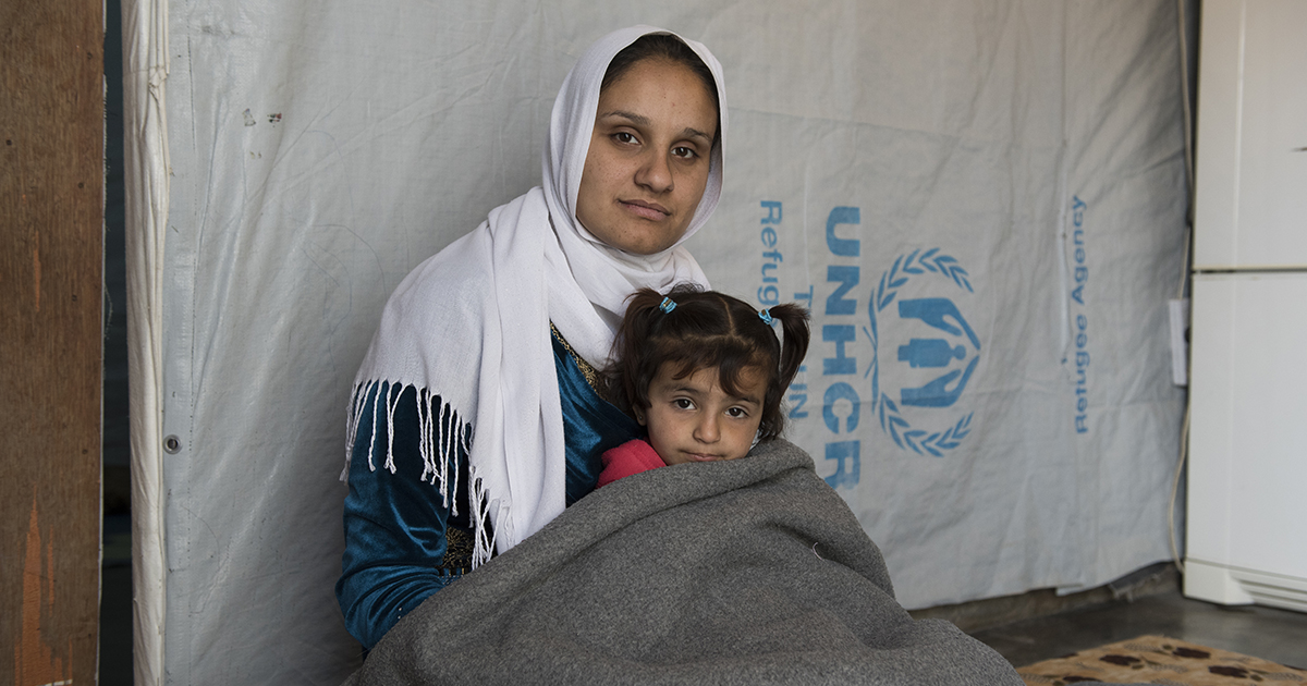 Winter Protection kit