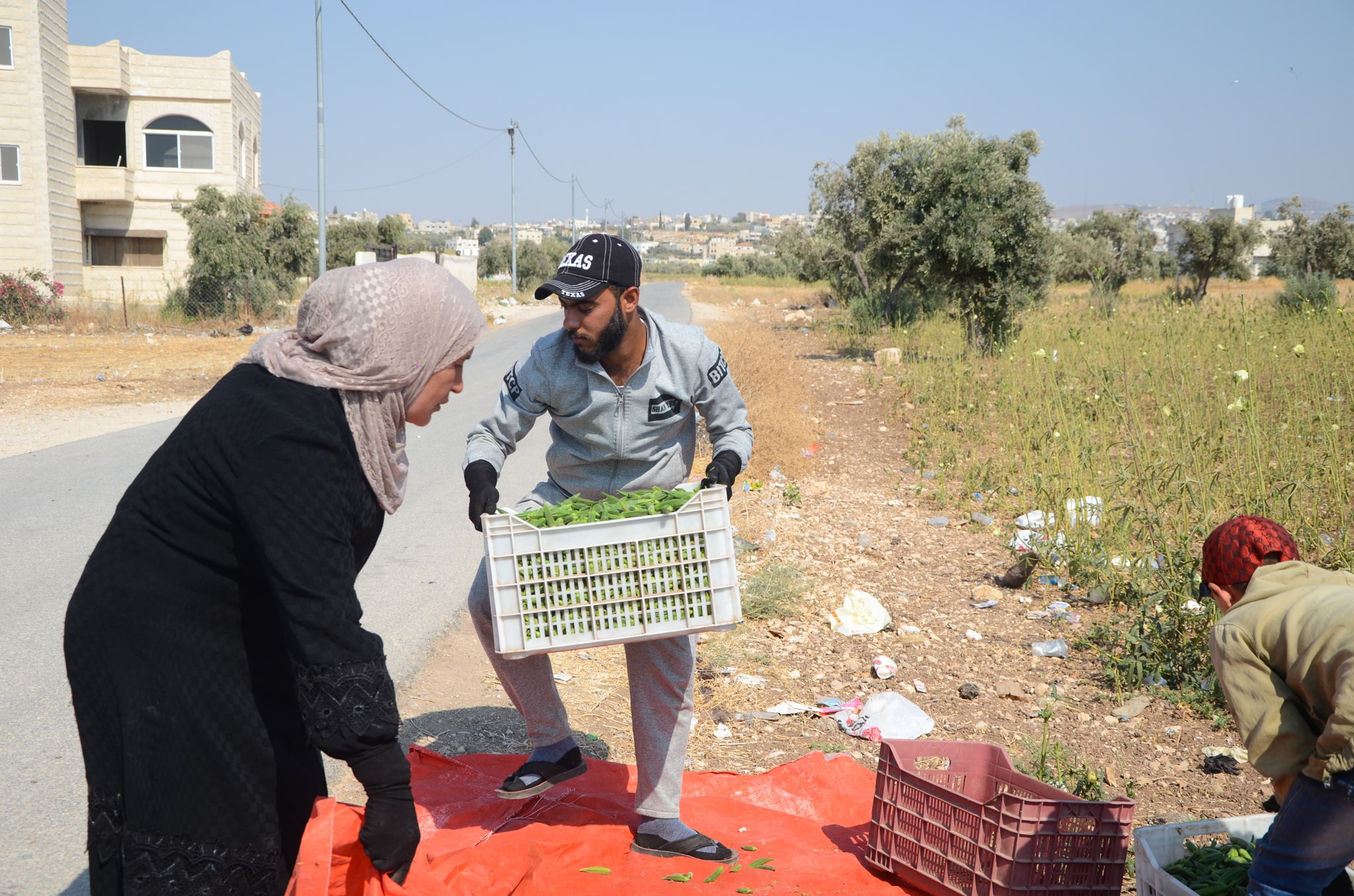 Layla and workers carrying away boxes of okra. 